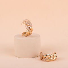 Vip Seri Zincir Halka Küpe 2,5cm