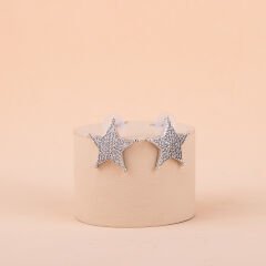 Özel Seri Zirkon Taşlı Yıldız Küpe 2cm