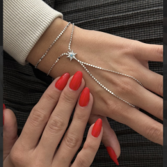 Özel Seri Kutup Yıldızlı Gümüş Şahmeran