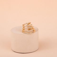 Özel Seri Zirkon Taşlı Sıralı Kıkırdak Küpe