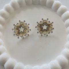 Özel Seri Zirkon Taşlı Yıldız Küpe 2,5cm