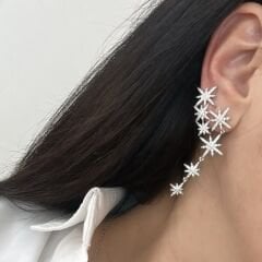 Özel Seri Zirkon Taşlı Kutup Yıldızlı Küpe